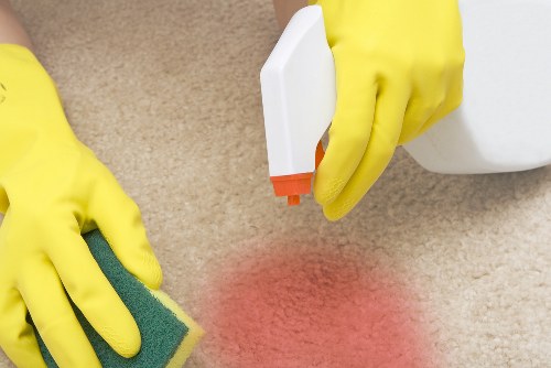 Professional carpet cleaning in a Lower Morden home