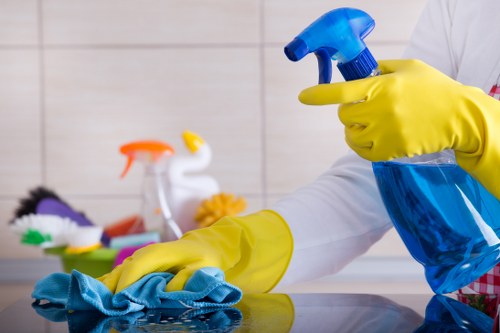 Professional pet stain odour removal in Lower Morden carpet cleaning