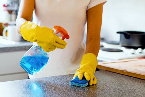 Professional steam carpet cleaning in a Lower Morden home living room