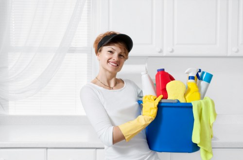 Carpet cleaning team using sustainable practices in Lower Morden