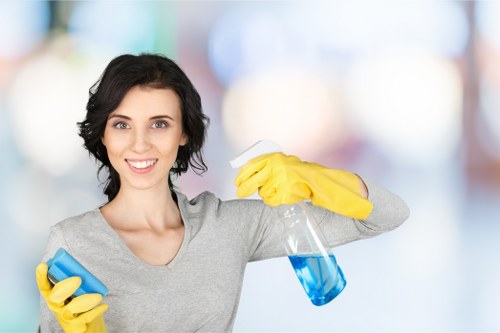 Professional carpet cleaning equipment for business premises