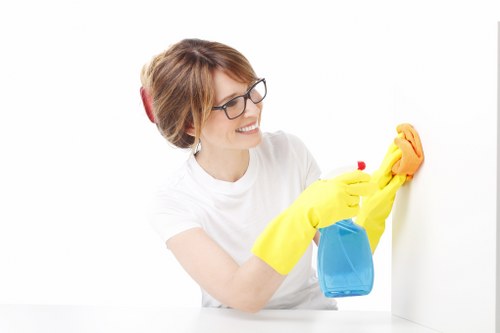 Common household stains treated through stain removal in Lower Morden